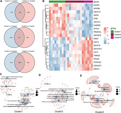 Comprehensive Analysis of N6-Methyladenosine Regulators in the Subcluster Classification and Drug Candidates Prediction of Severe Obstructive Sleep Apnea